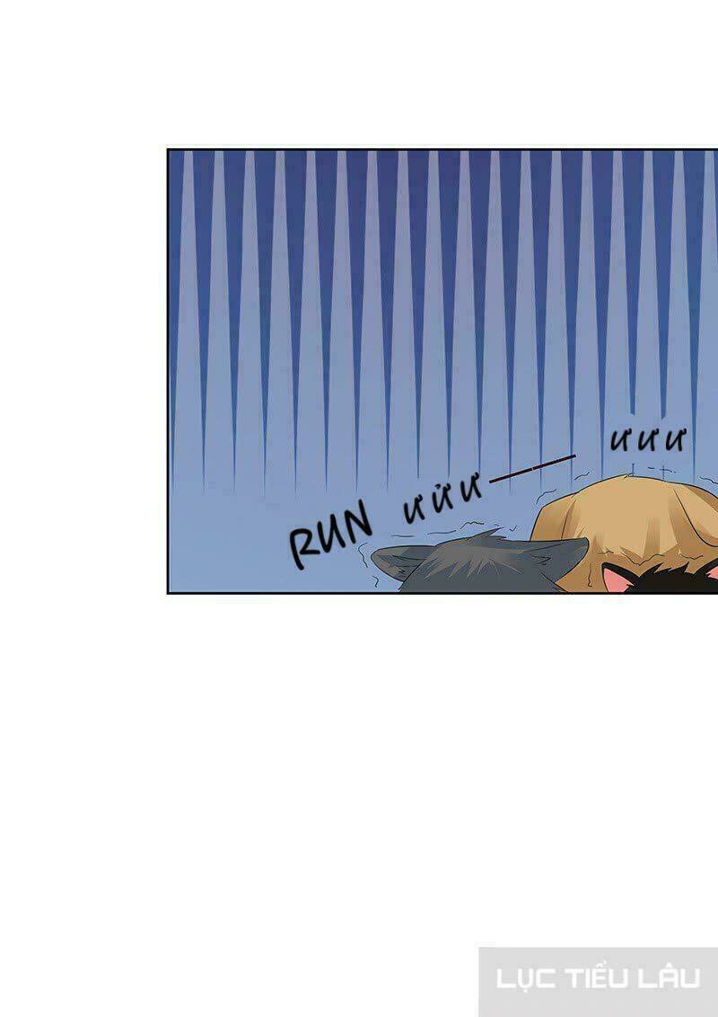 Băng Sơn Học Trưởng Không Được Chọc: Chapter 13