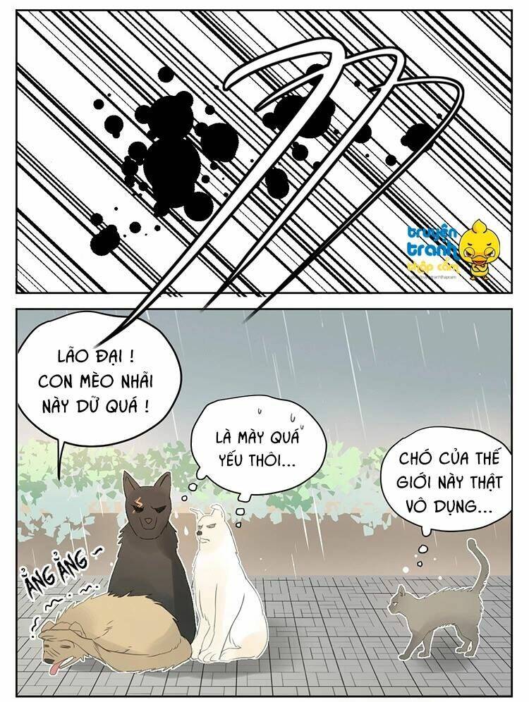 Cứu Mạng! Loài Mèo Thống Trị Thế Giới Rồi!: Chapter 25