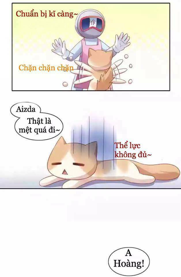 Dưới Móng Vuốt Mèo: Chapter 12