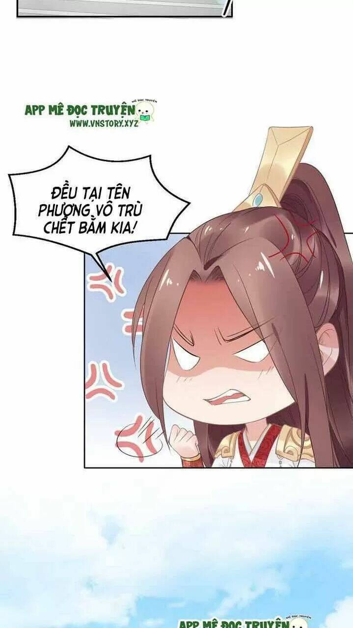 Nhất Sinh Nhất Thế Tiếu Thương Khung: Chapter 14