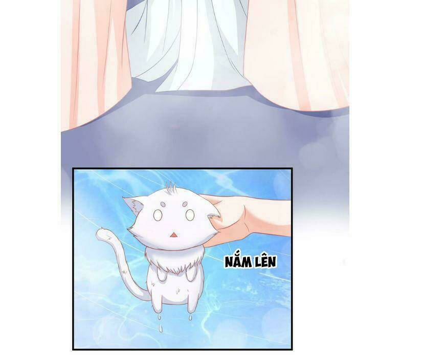 Báo Cáo Vương Gia, Vương Phi Là Một Con Mèo: Chapter 1