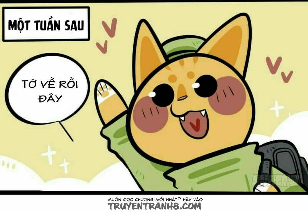 Đời Không Như Mình Tưởng: Chapter 14