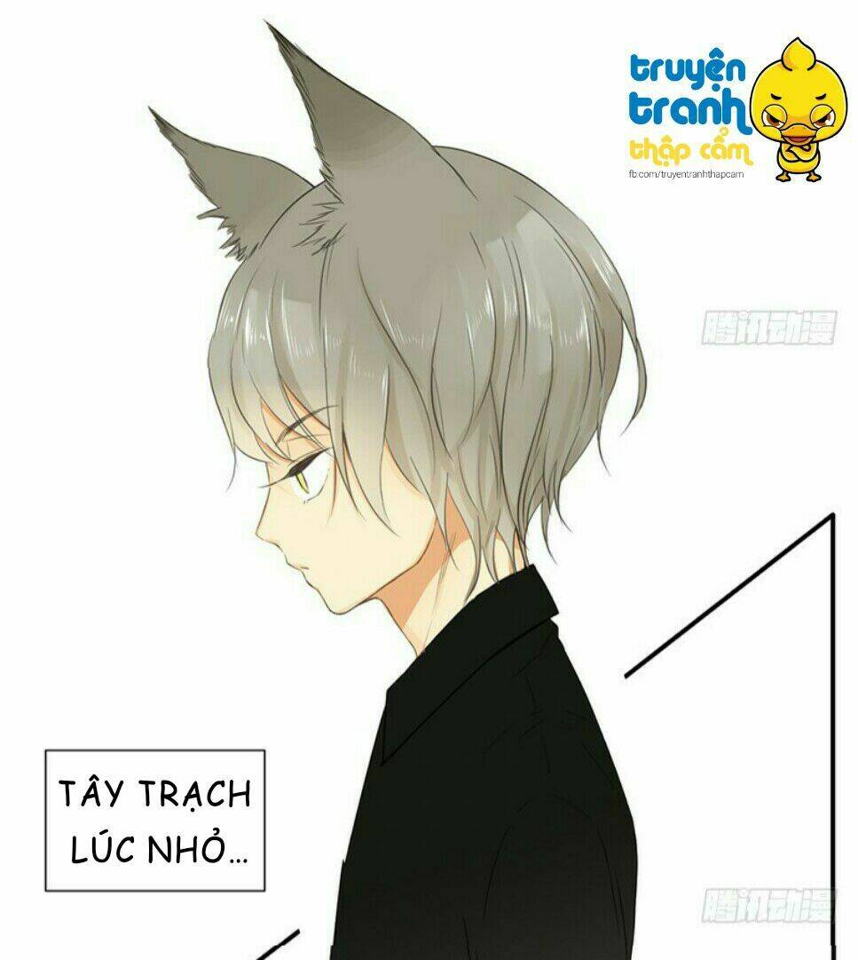 Cứu Mạng! Loài Mèo Thống Trị Thế Giới Rồi!: Chapter 34