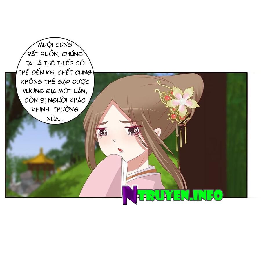 Thông Linh Phi: Chapter 605