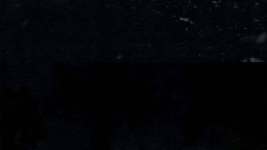 Xung Hỉ Vương Phi: Chapter 81