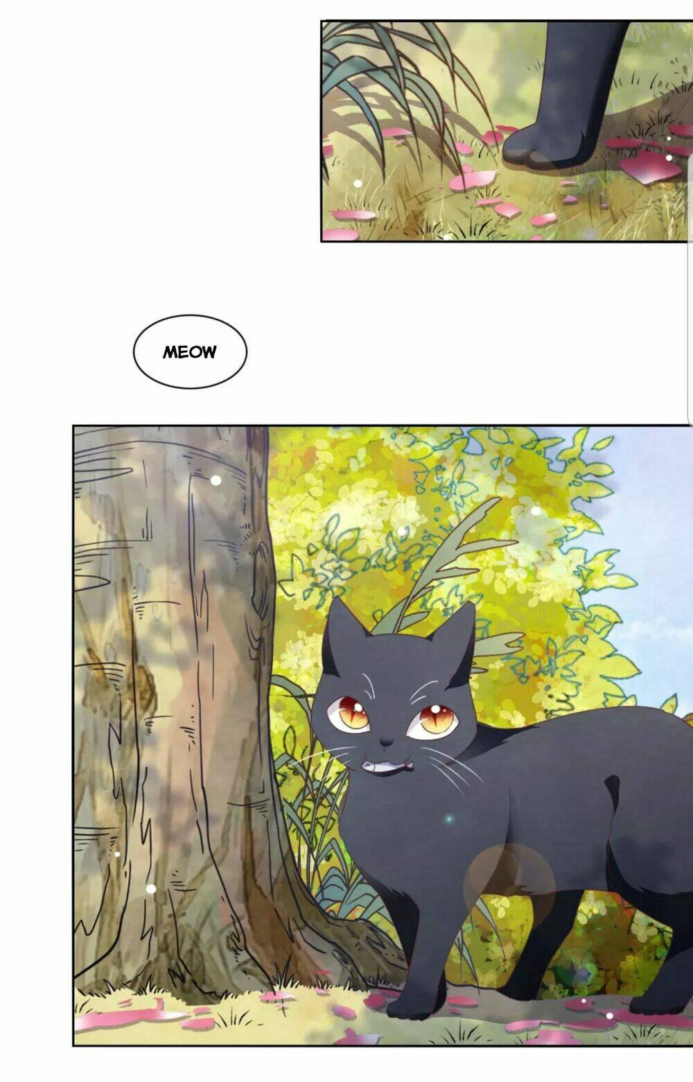 Xuyên Về Cổ Đại Làm Quốc Bảo: Chapter 43