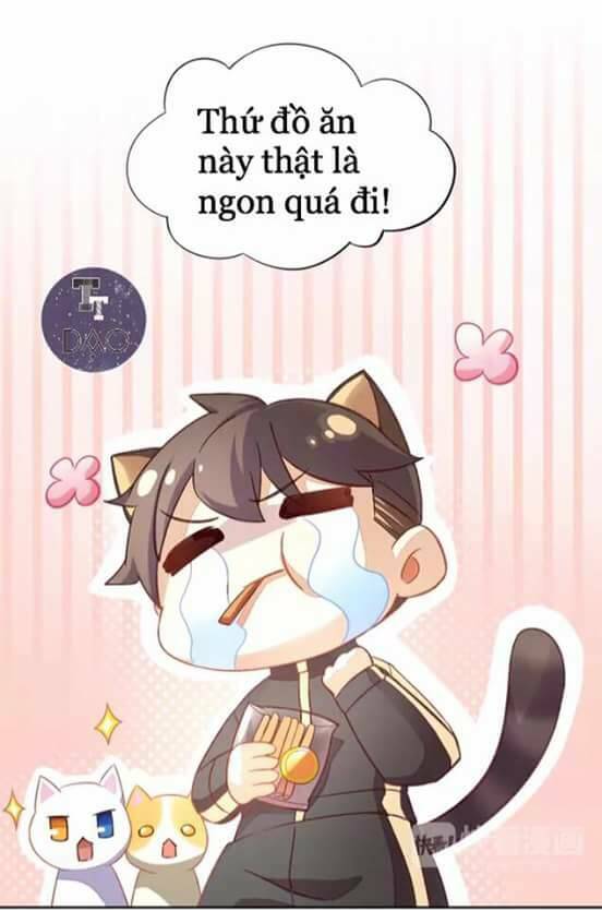 Dưới Móng Vuốt Mèo: Chapter 6