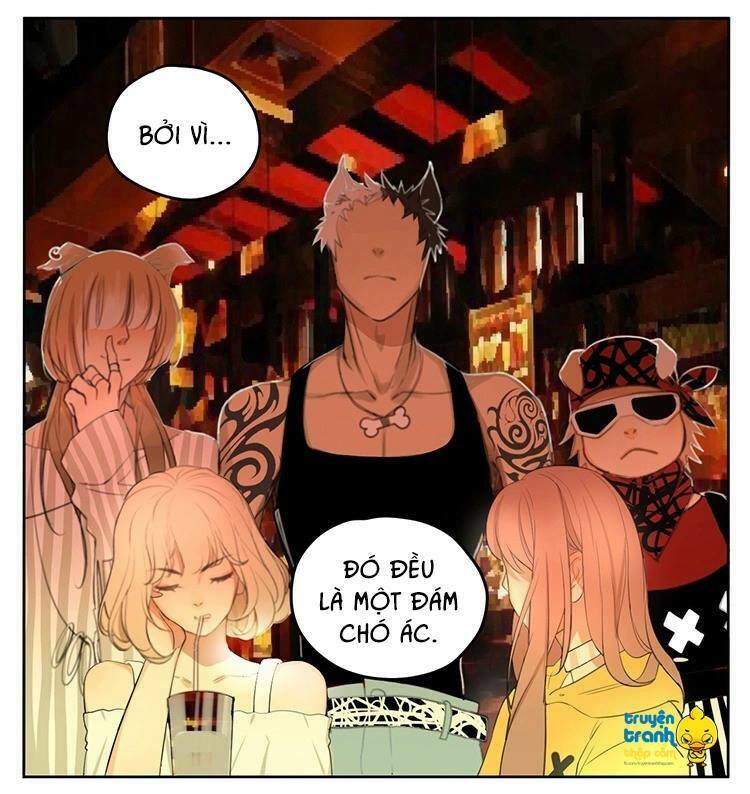Cứu mạng ! Loài mèo thống trị thế giới rồi !: Chapter 18