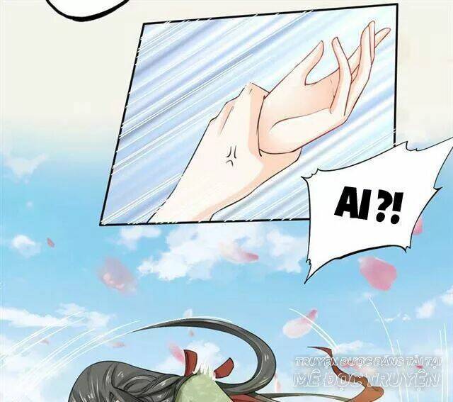 Tuyệt Thế Luyện Đan Sư: Chapter 17