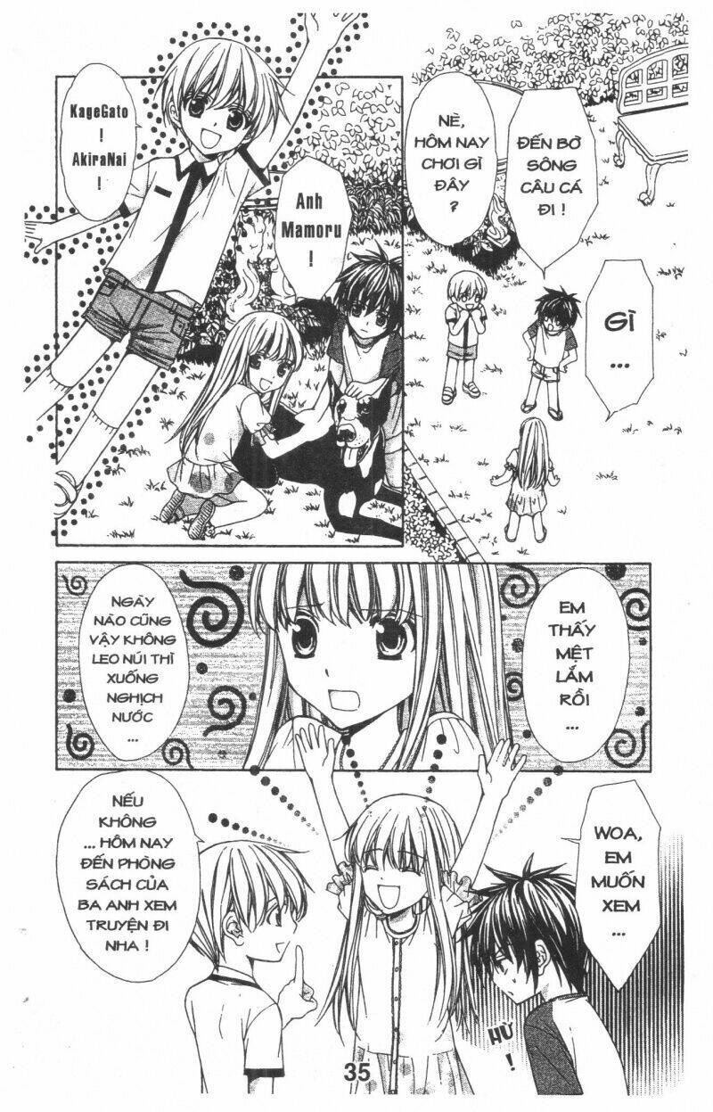 Trái Tim Kim Cương: Chapter 1