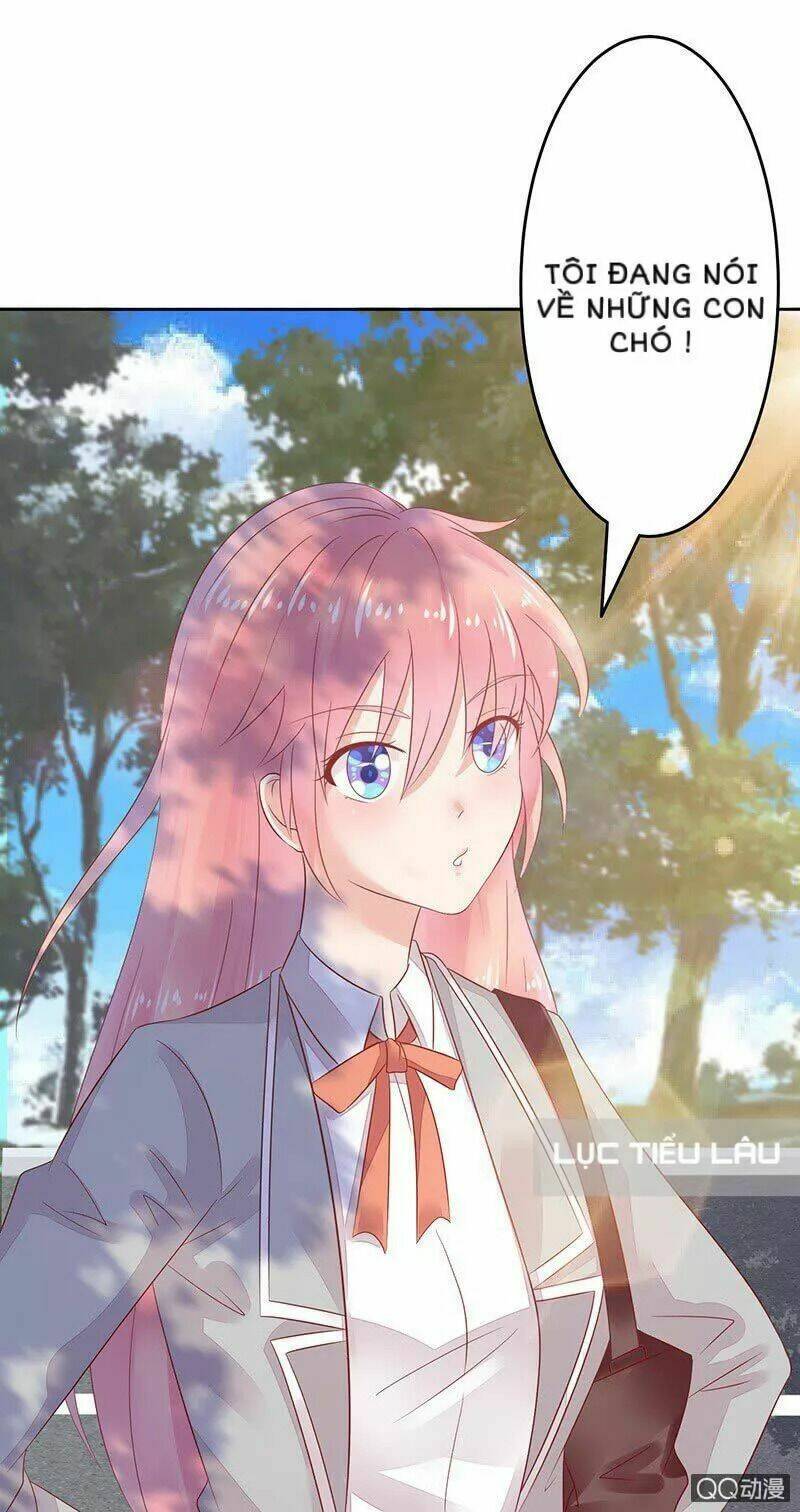 Băng Sơn Học Trưởng Không Được Chọc: Chapter 8