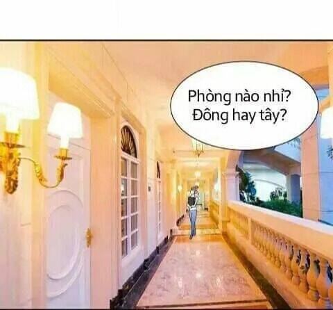 1 Nửa Hoàn Hảo Của Ceo: Chapter 24