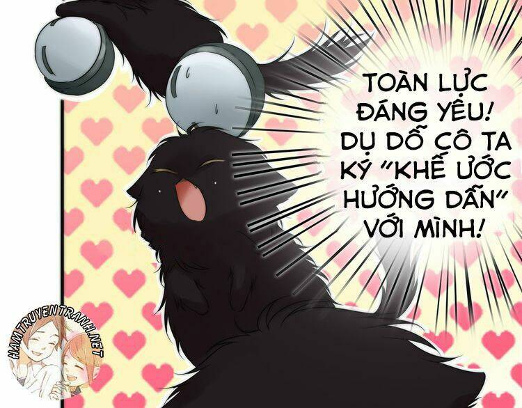 Viện Bảo Tàng Tâm Nguyện: Chapter 2.1