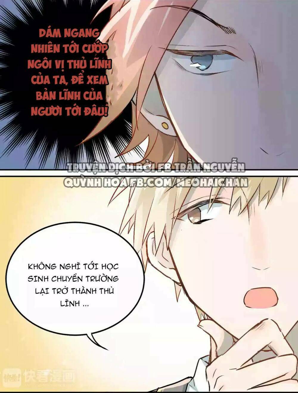 Đầu Gấu Biết Yêu: Chapter 4