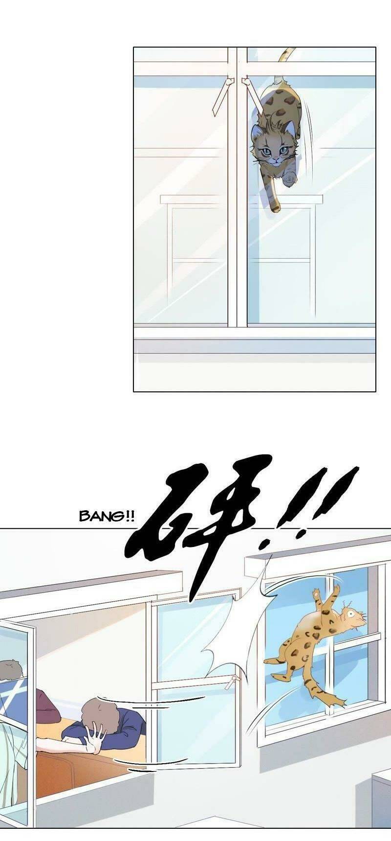 Thập Nhị Hắc Miêu: Chapter 1