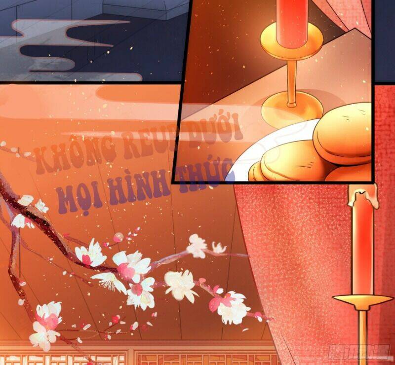 Ta Phải Làm Hoàng Hậu: Chapter 1