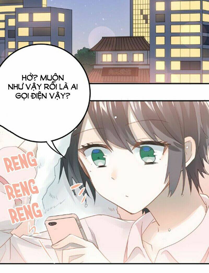 Đầu Gấu Biết Yêu: Chapter 95