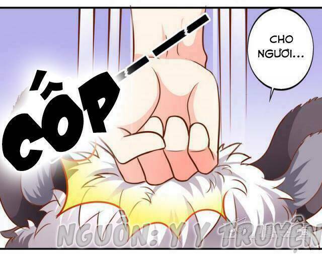 Ngư Thần Đích Nhân Thả Ta Đi: Chapter 31