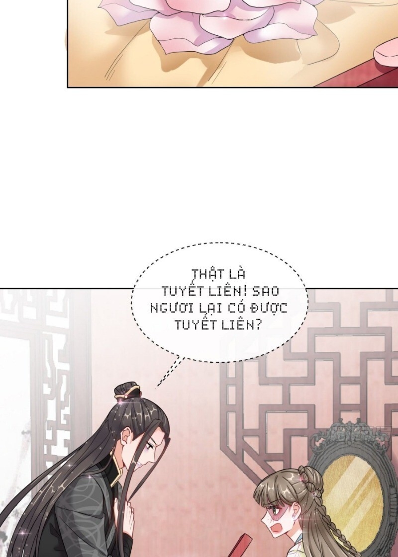 Công Lược Trưởng Thành Của Vương Phi: Chapter 6