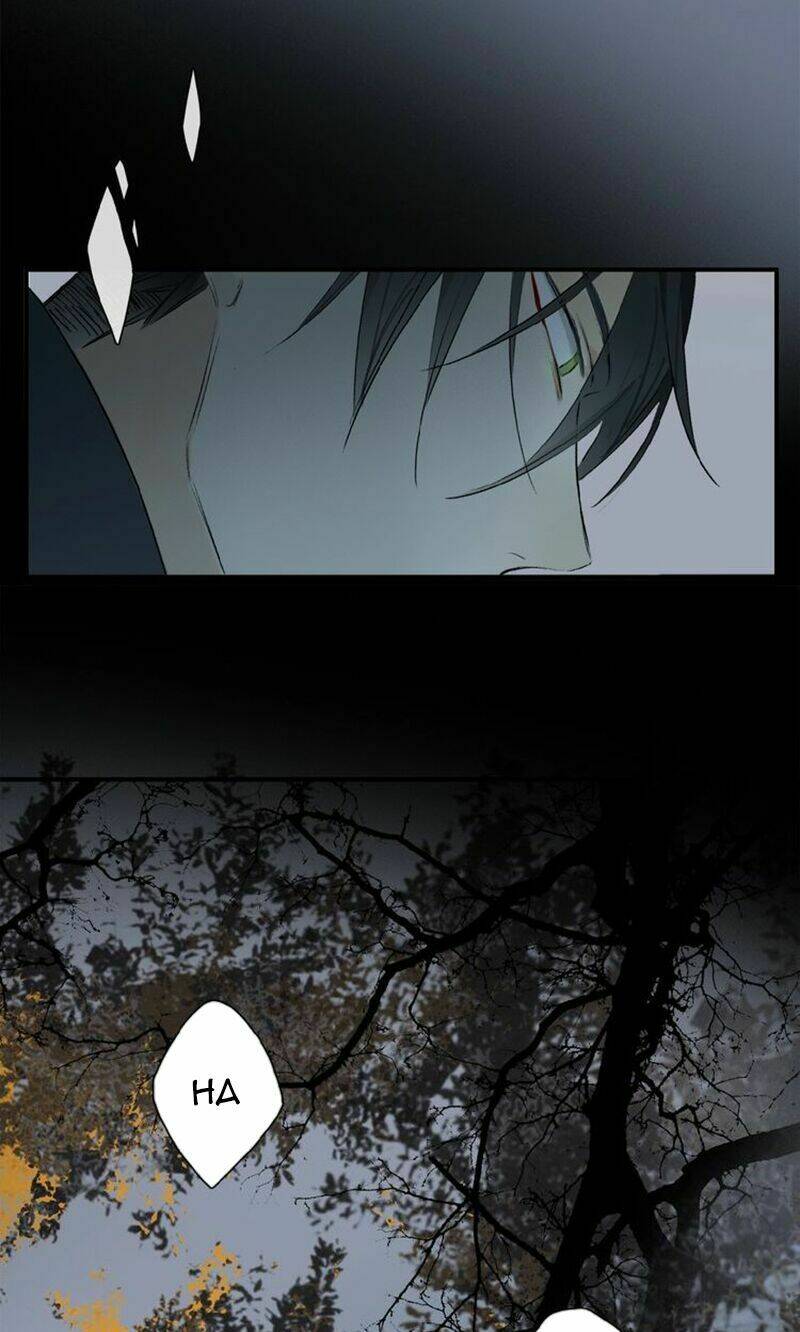 Phép Tắc Trường Ogus: Chapter 36