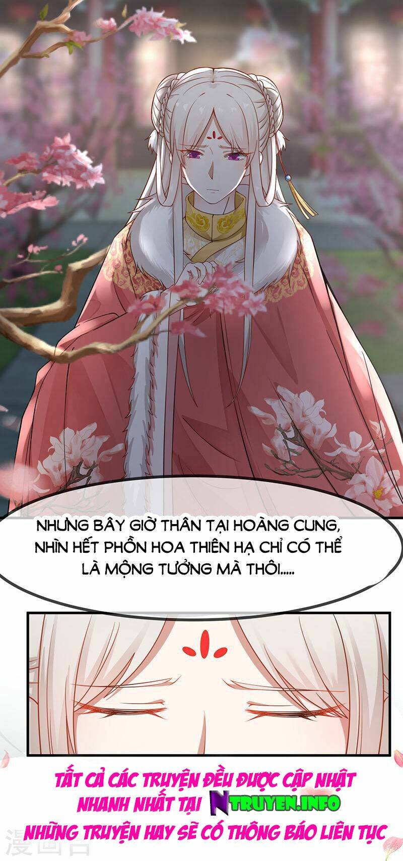 Thanh Cung Chi Ninh Mặc Vô Thanh: Chapter 23