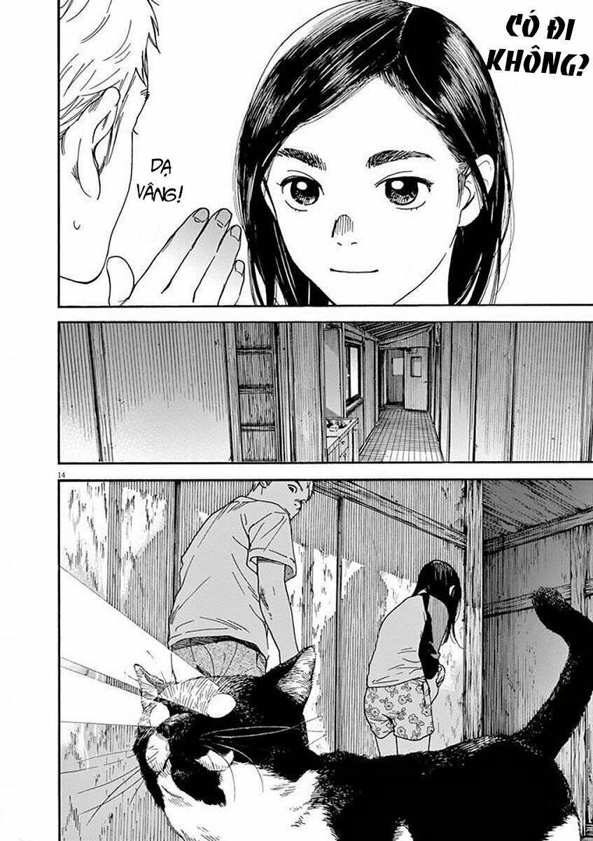 Neko No Otera No Chion-San: Chapter 53