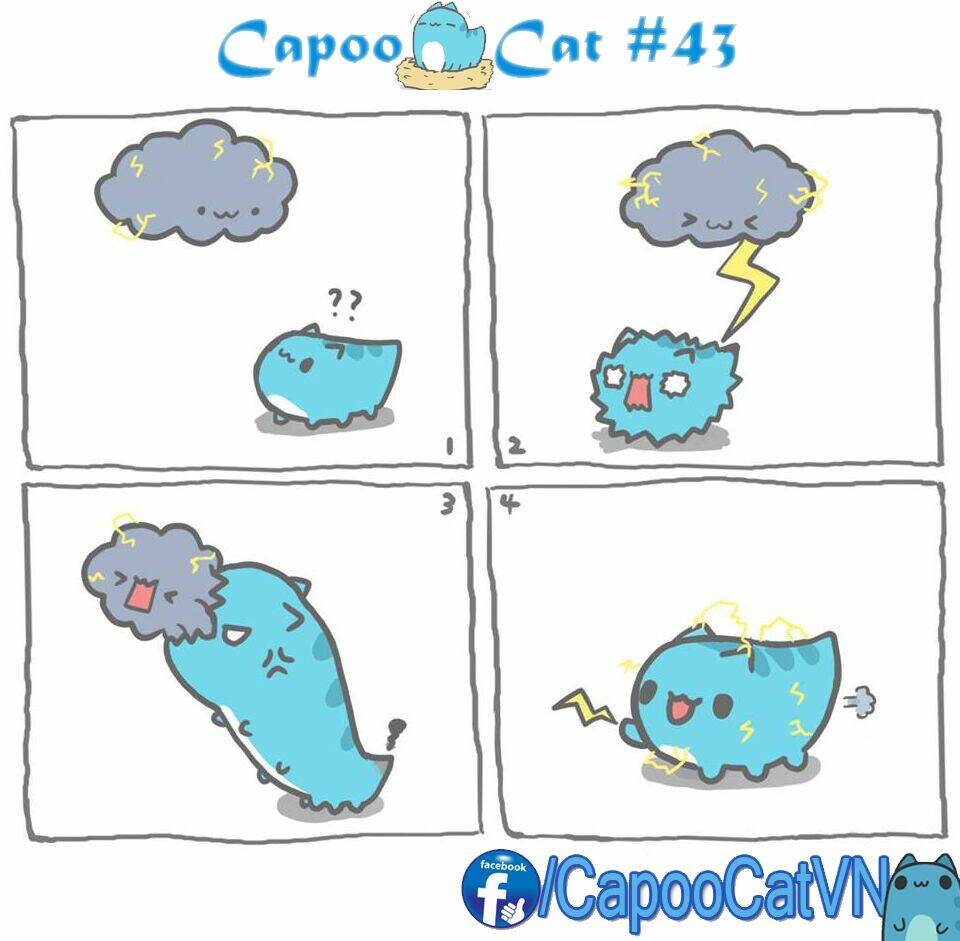Capoo Cat: Chapter 5