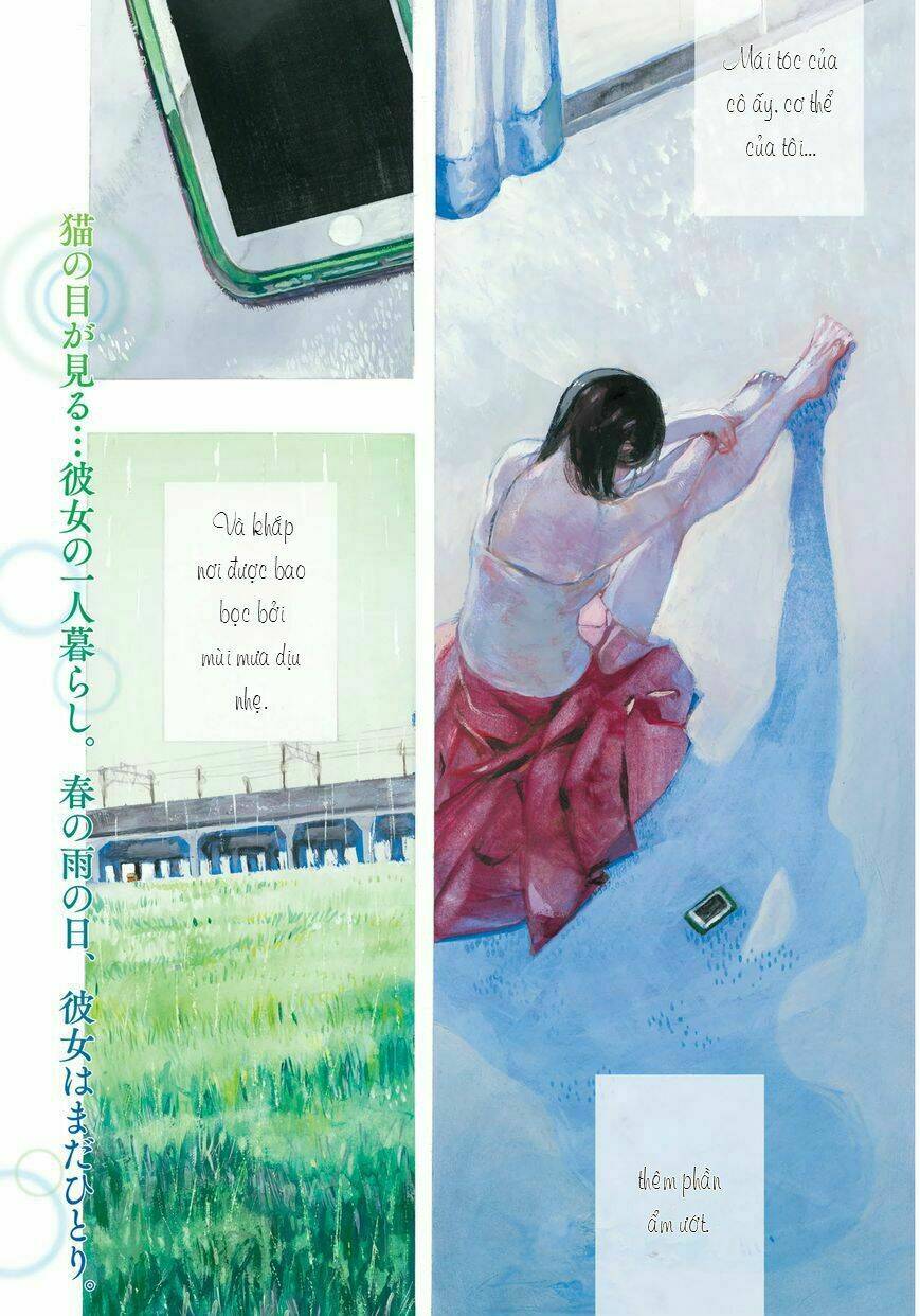 Chú Mèo Và Cô Chủ: Chapter 1