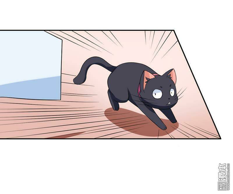 Miêu Vương Tại Thượng: Chapter 4