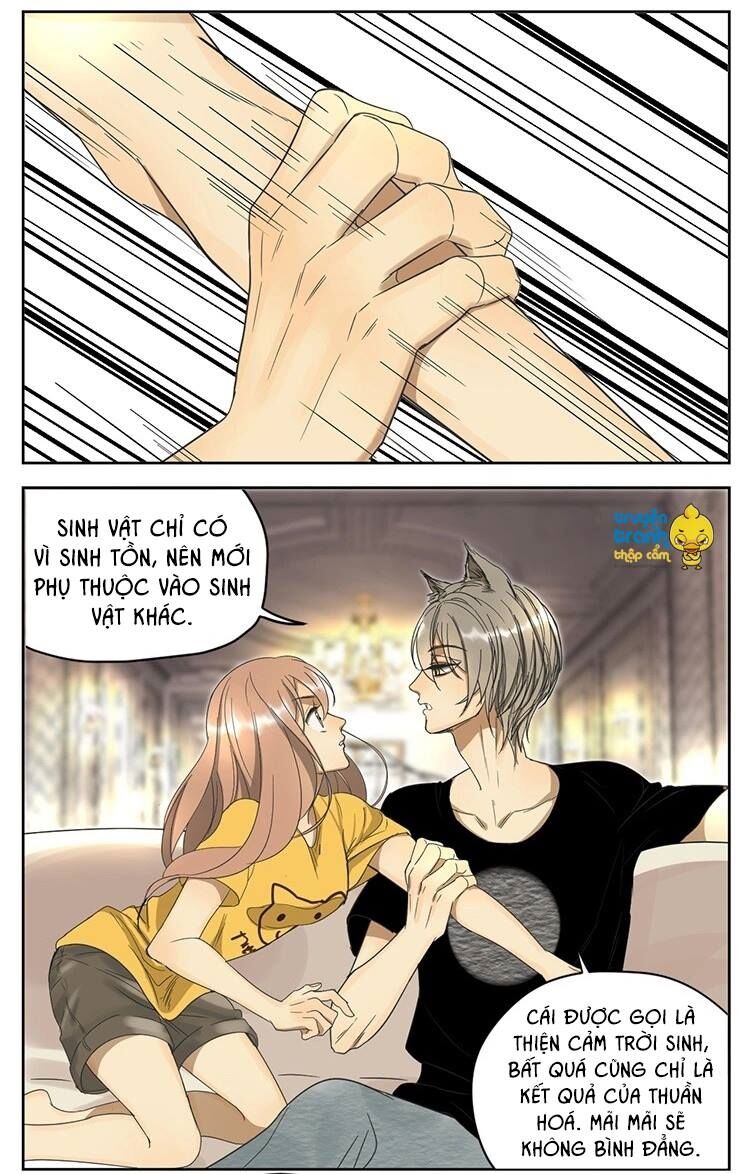 Cứu mạng ! Loài mèo thống trị thế giới rồi !: Chapter 11