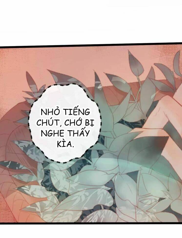 Hồ Minh Chi Hương: Chapter 1