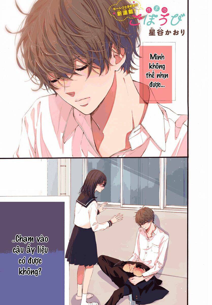 Tama No Gohoubi: Chapter 1