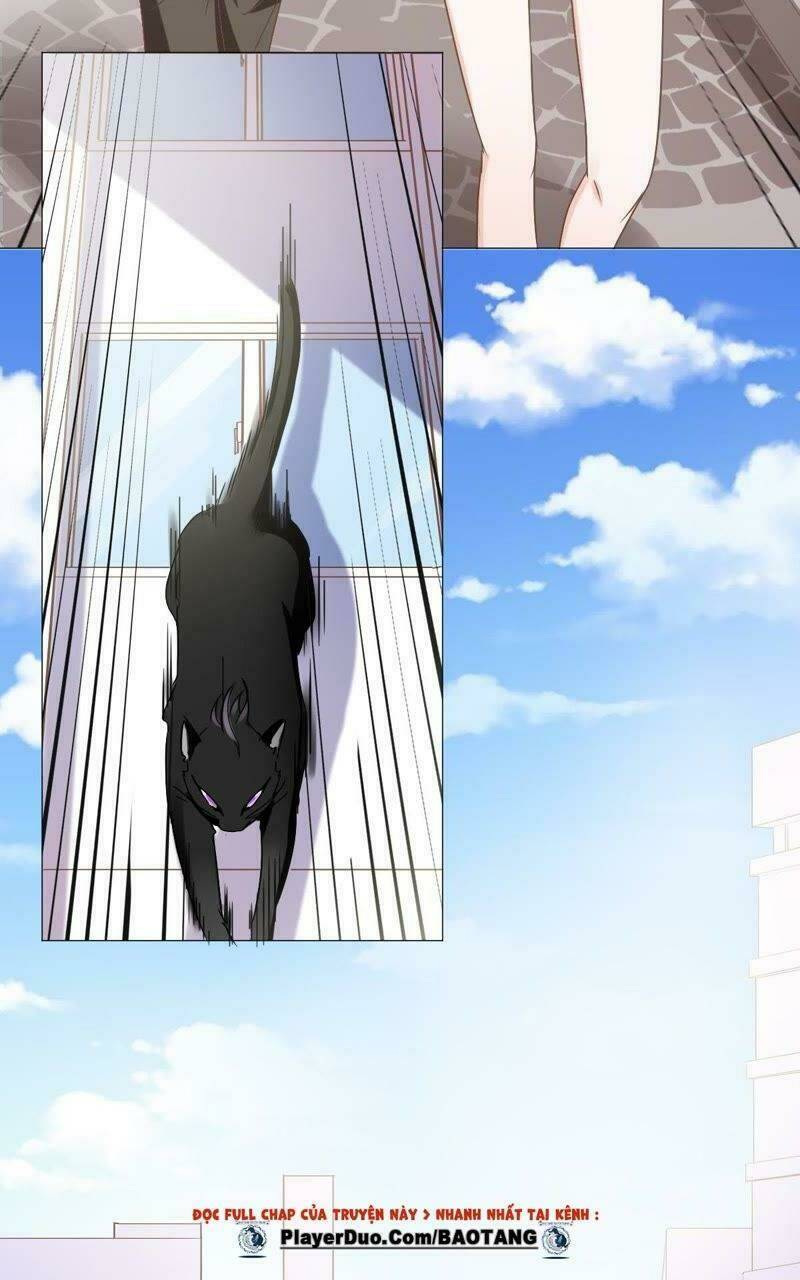 Thập Nhị Hắc Miêu: Chapter 5