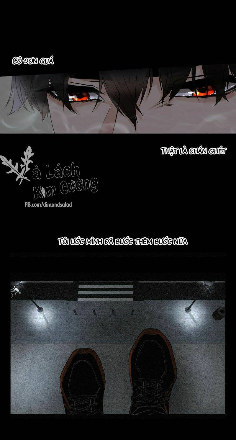 Trong Vòng Tay: Chapter 2