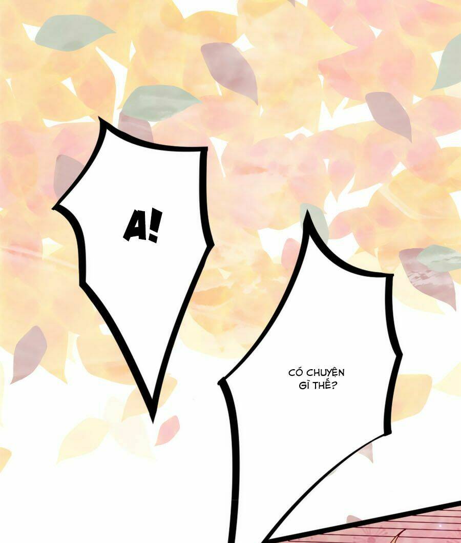 Ngọc Vi Mai: Chapter 6