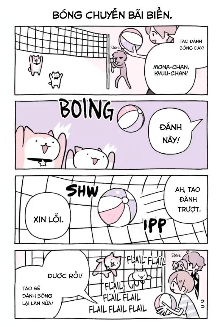 Chú Mèo Kỳ Diệu Kyuu-Chan: Chapter 719