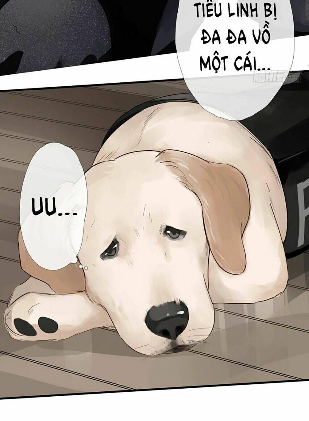 Thiếu Niên Rắc Rối: Chapter 5