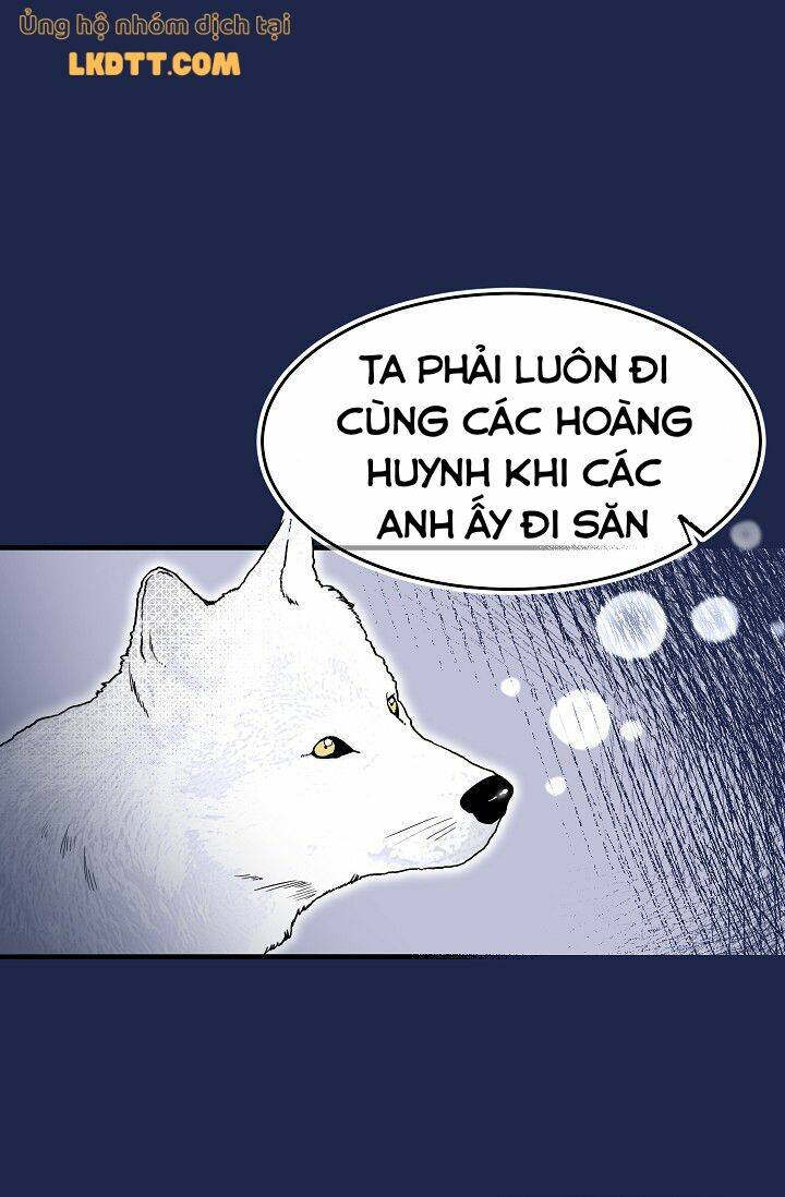 Mylord, Nữ Hoàng Của Loài Sói!: Chapter 16