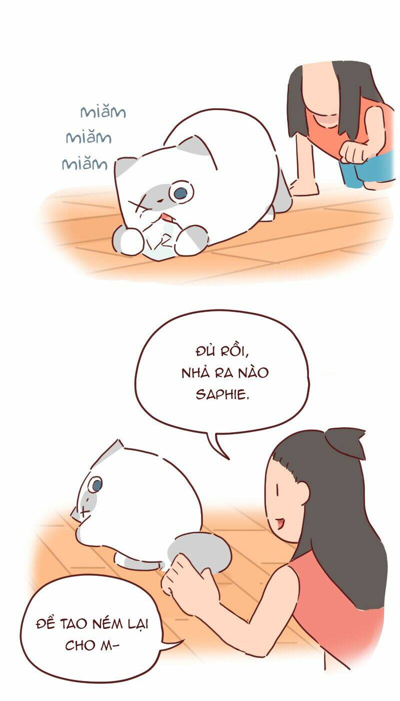 Saphie: Chú mèo một mắt: Chapter 27