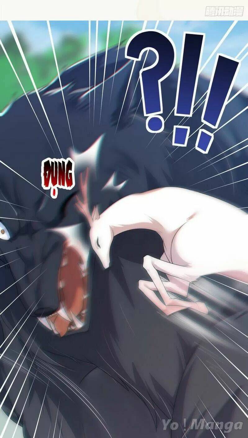 Tuyệt Thế Luyện Đan Sư: Chapter 153