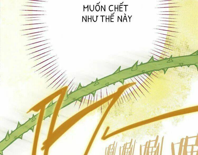 Thuần Trắng Vận Mệnh Chi Luân: Chapter 4