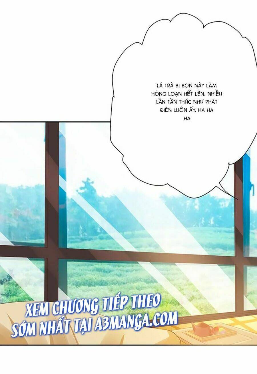 Bạn Trai Là Ngôi Sao: Chapter 65