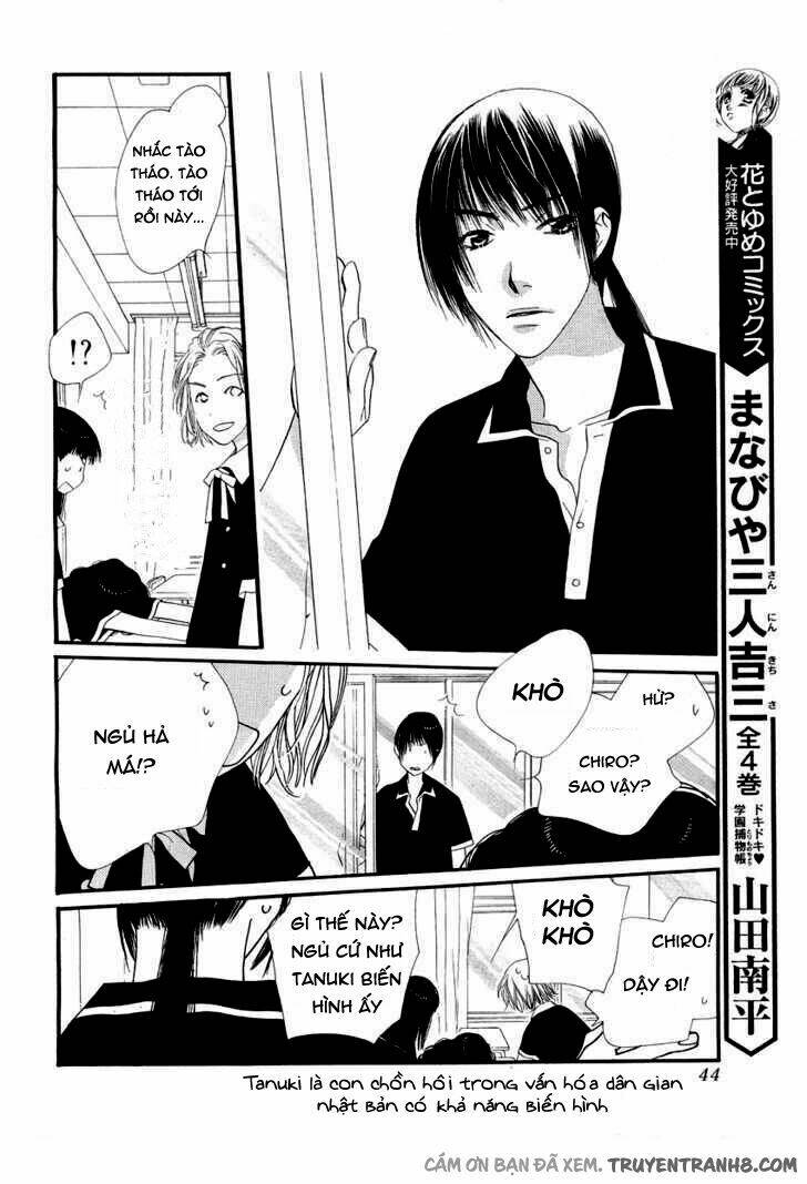 Orange Chocolate: Chapter 10