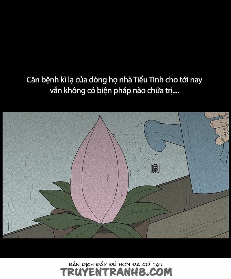Kinh Dị Đêm Khuya: Chapter 25: - Loài Hoa Ăn Thịt Người