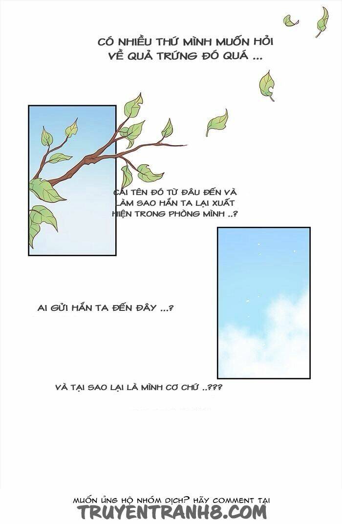 Chàng Trai Từ Quả Trứng: Chapter 3