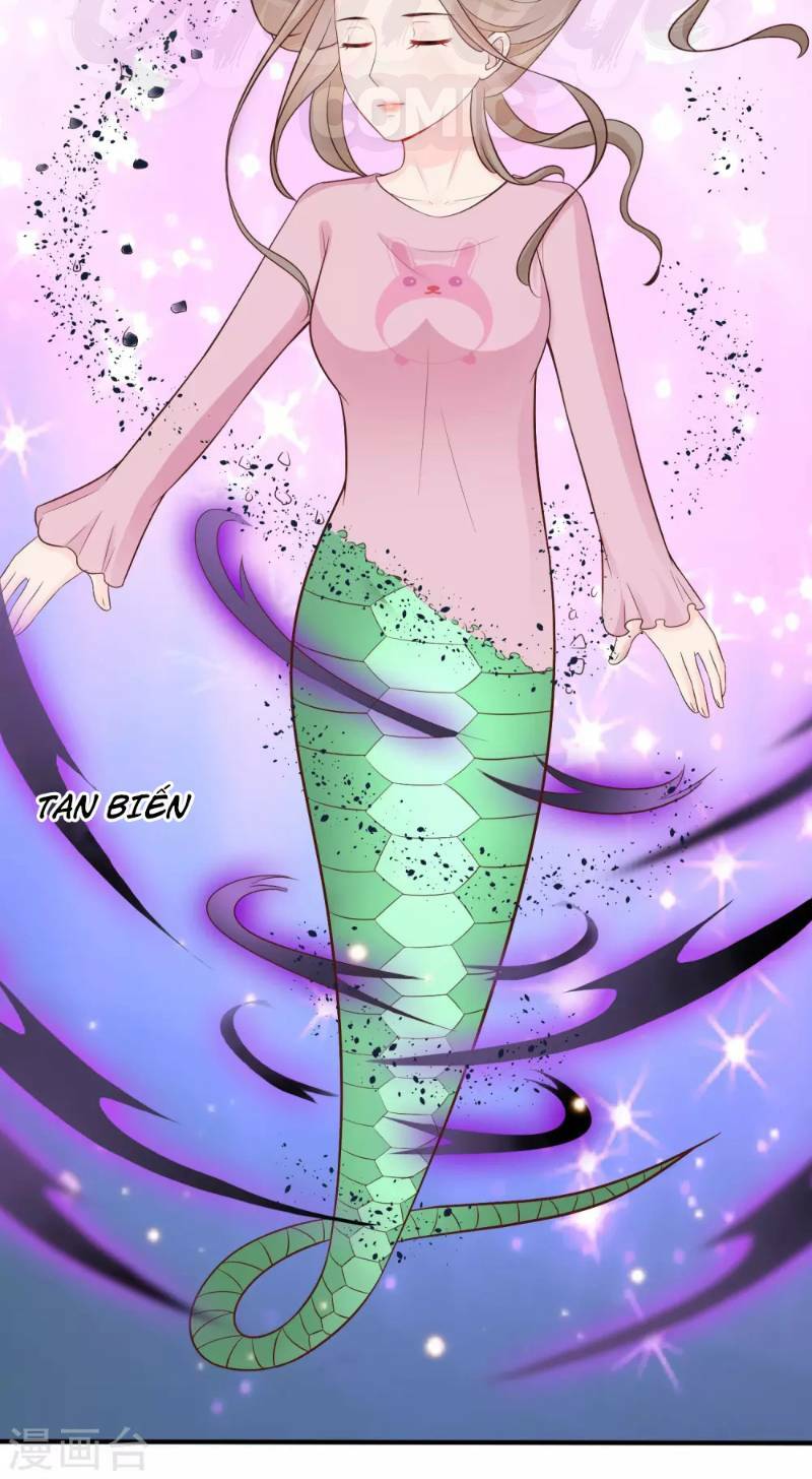 Tối Cường Vận Đào Hoa: Chapter 81