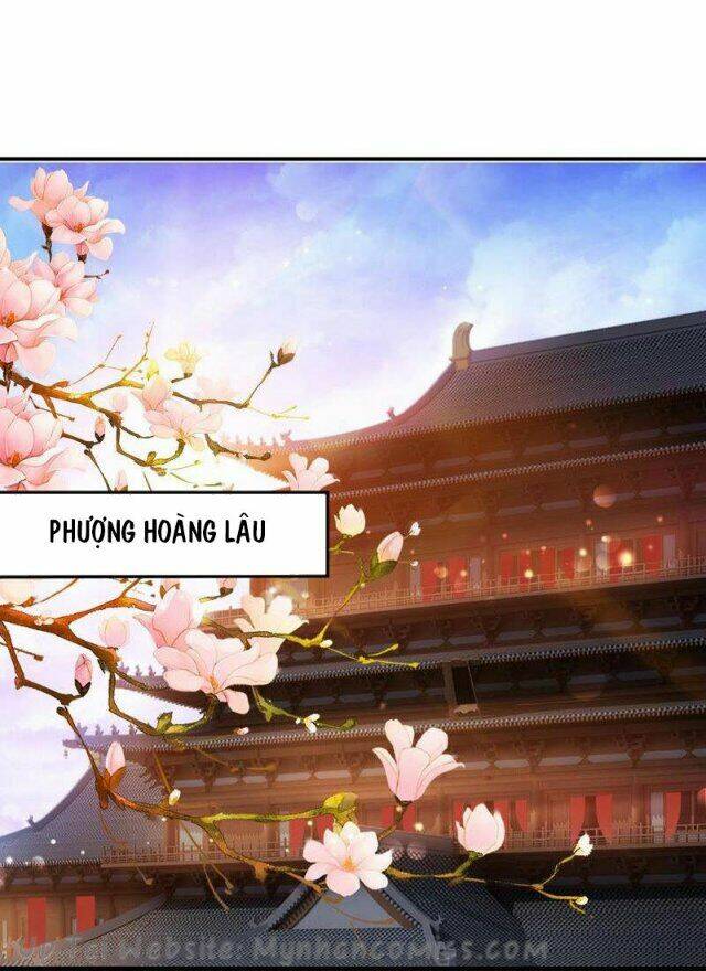 Thái Tử Điện Hạ Có Tin Vui: Chapter 78