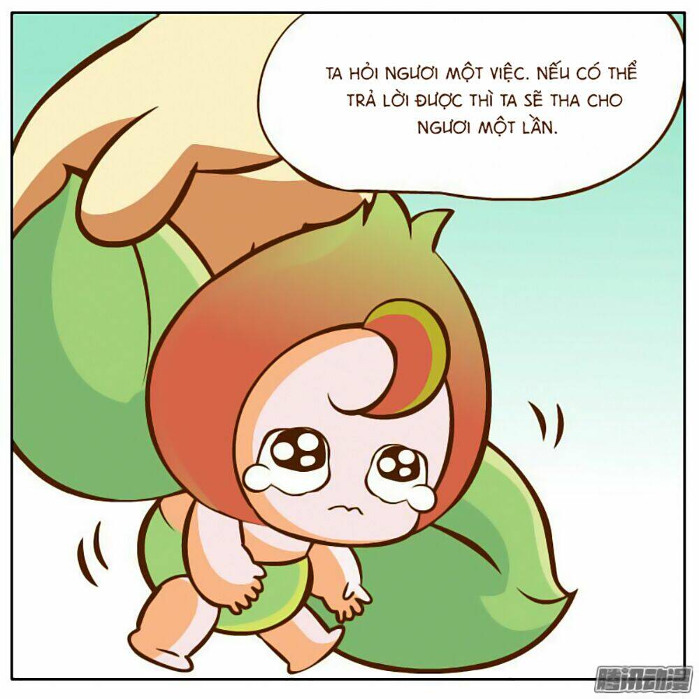 Hòa Thượng Và Tiểu Long Quân: Chapter 6