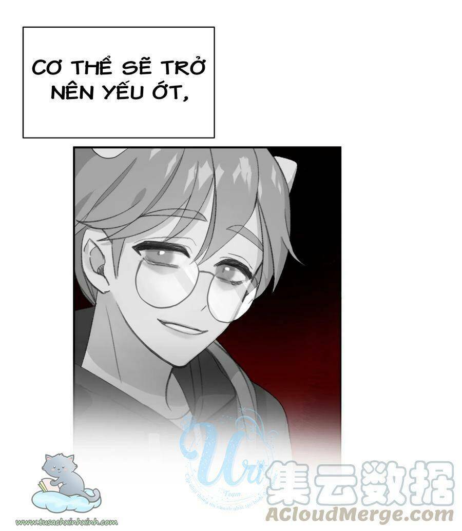 Nhật Ký Nấm Ma Cô: Chapter 8