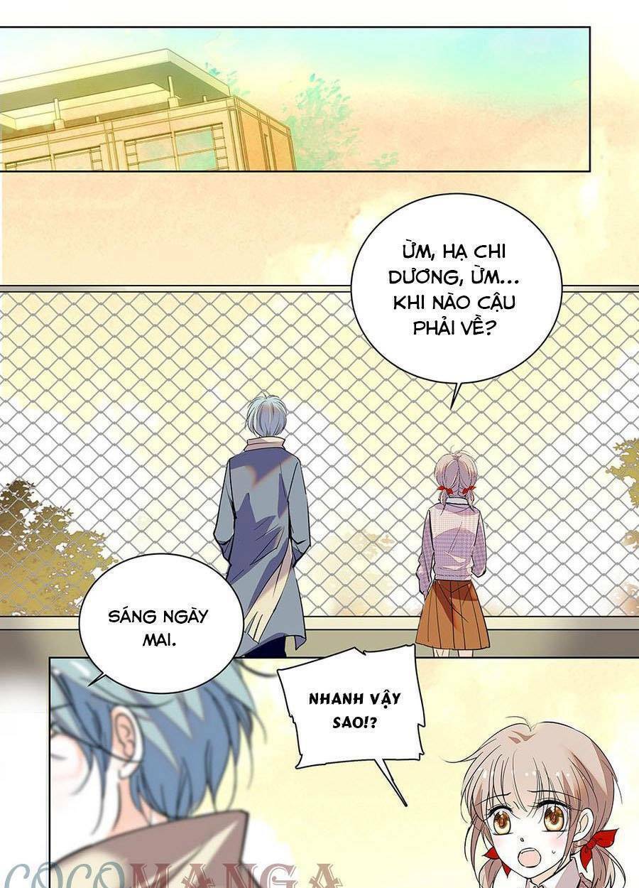 Thanh Ninh Chi Hạ: Chapter 496